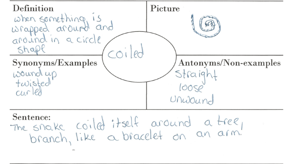 PK 3 Vocabulary and Comprehension